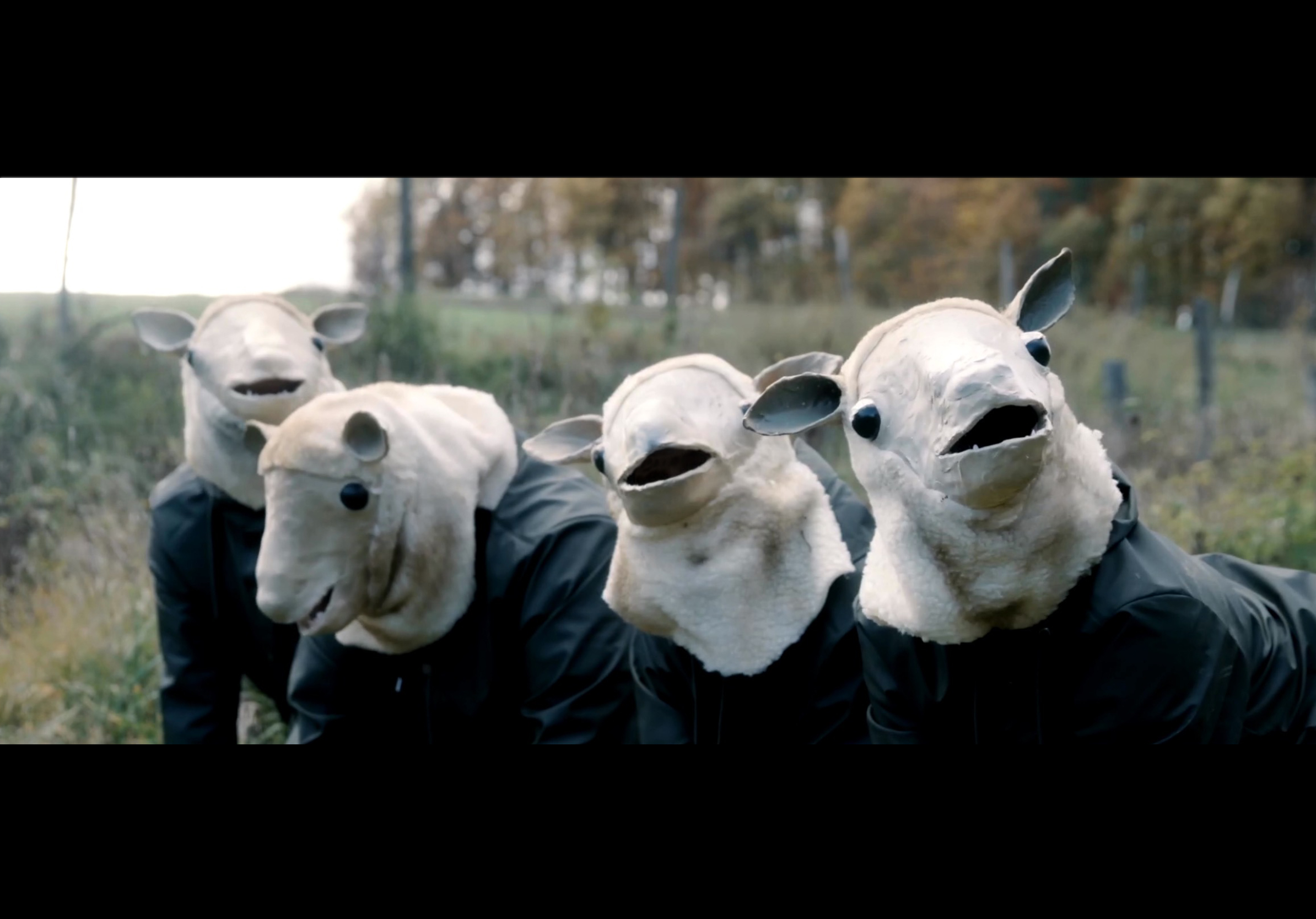 filmstill-animals-tovestille