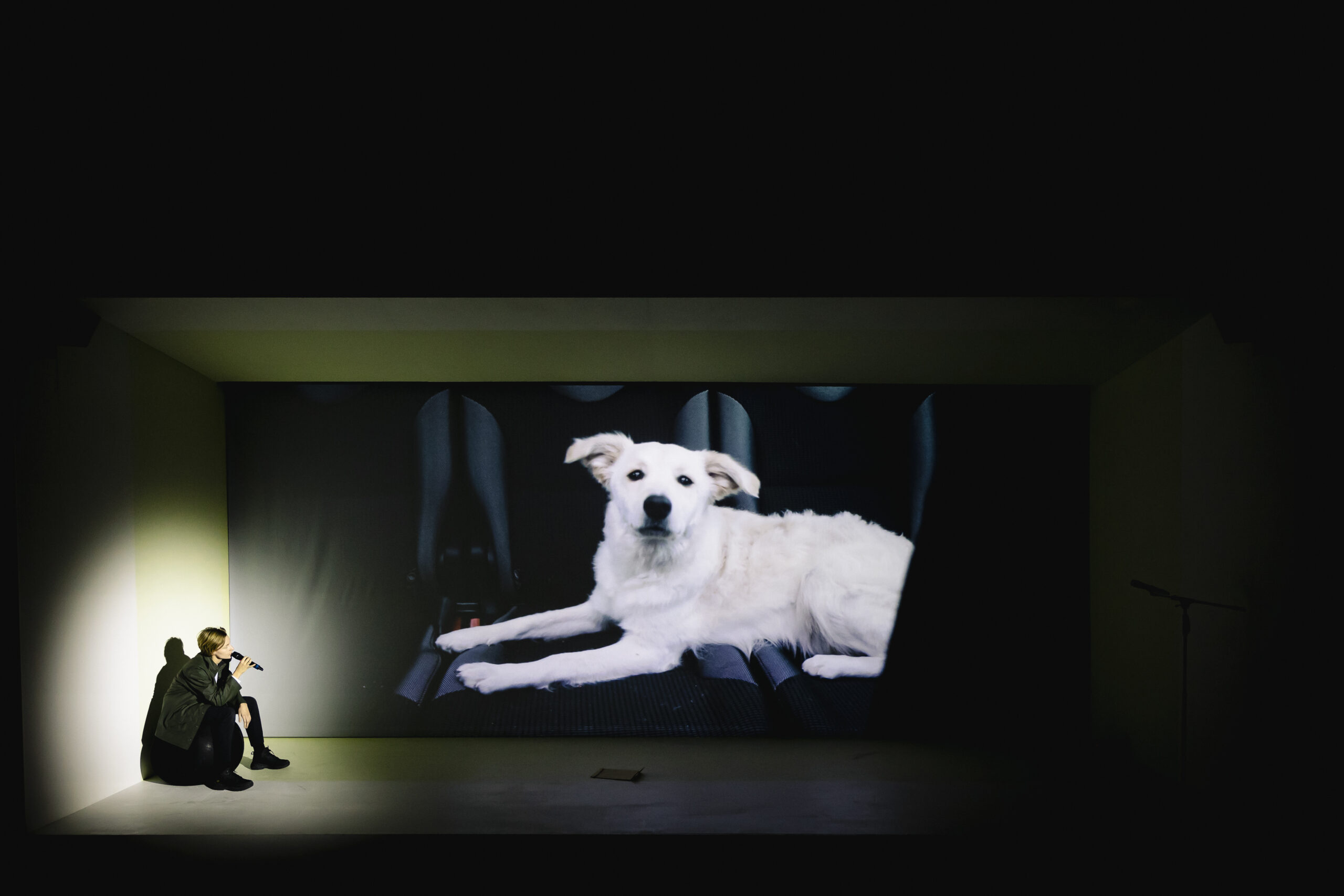 performance-film-tovestille