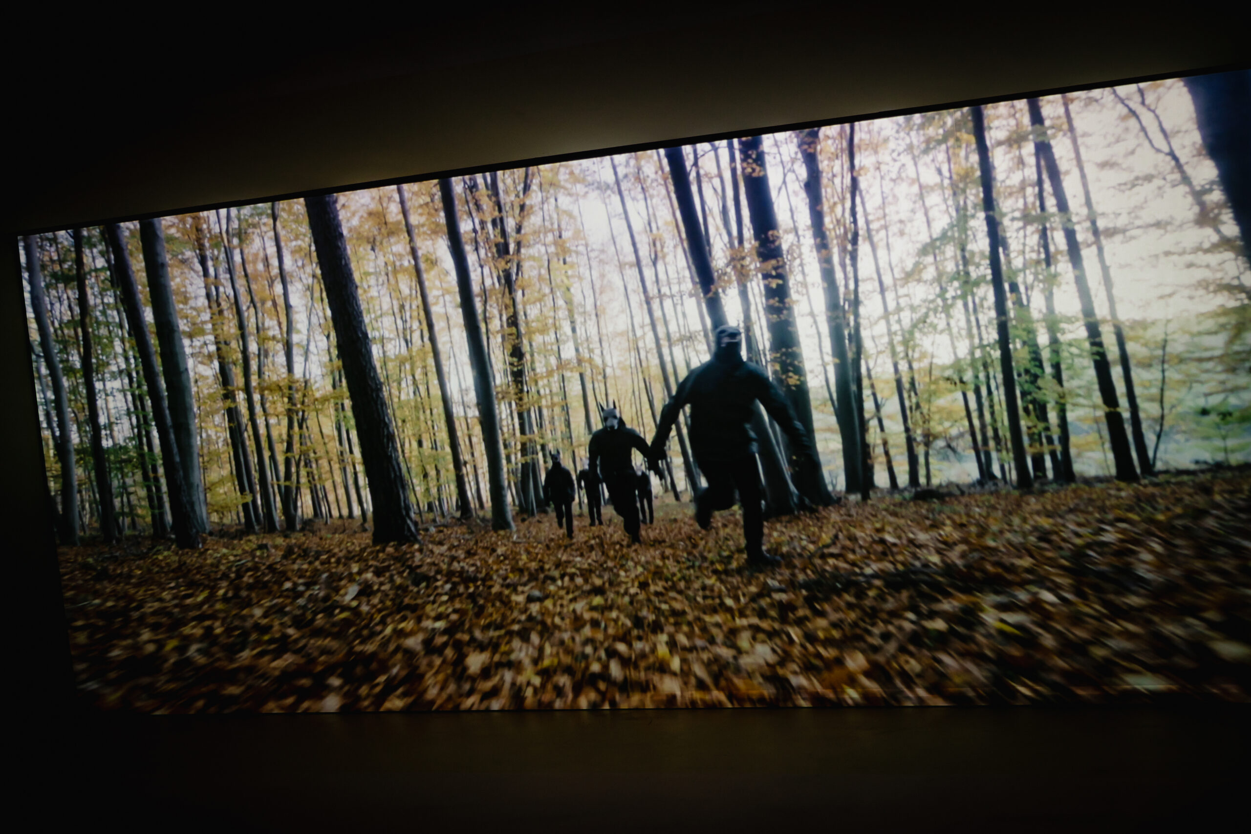 short-faarmanimaal-matthiasheschl