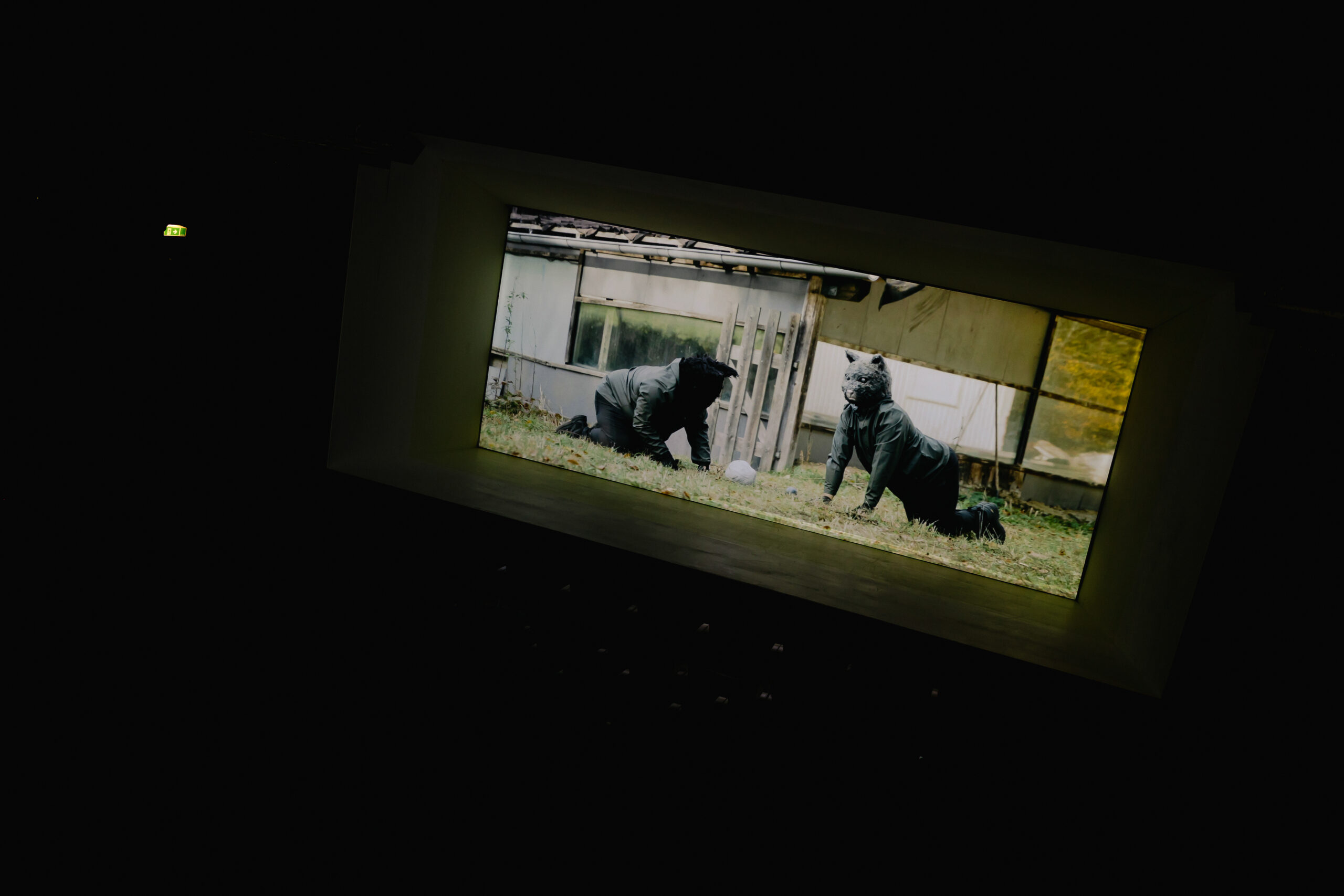 short-faarmanimaal-tovestille