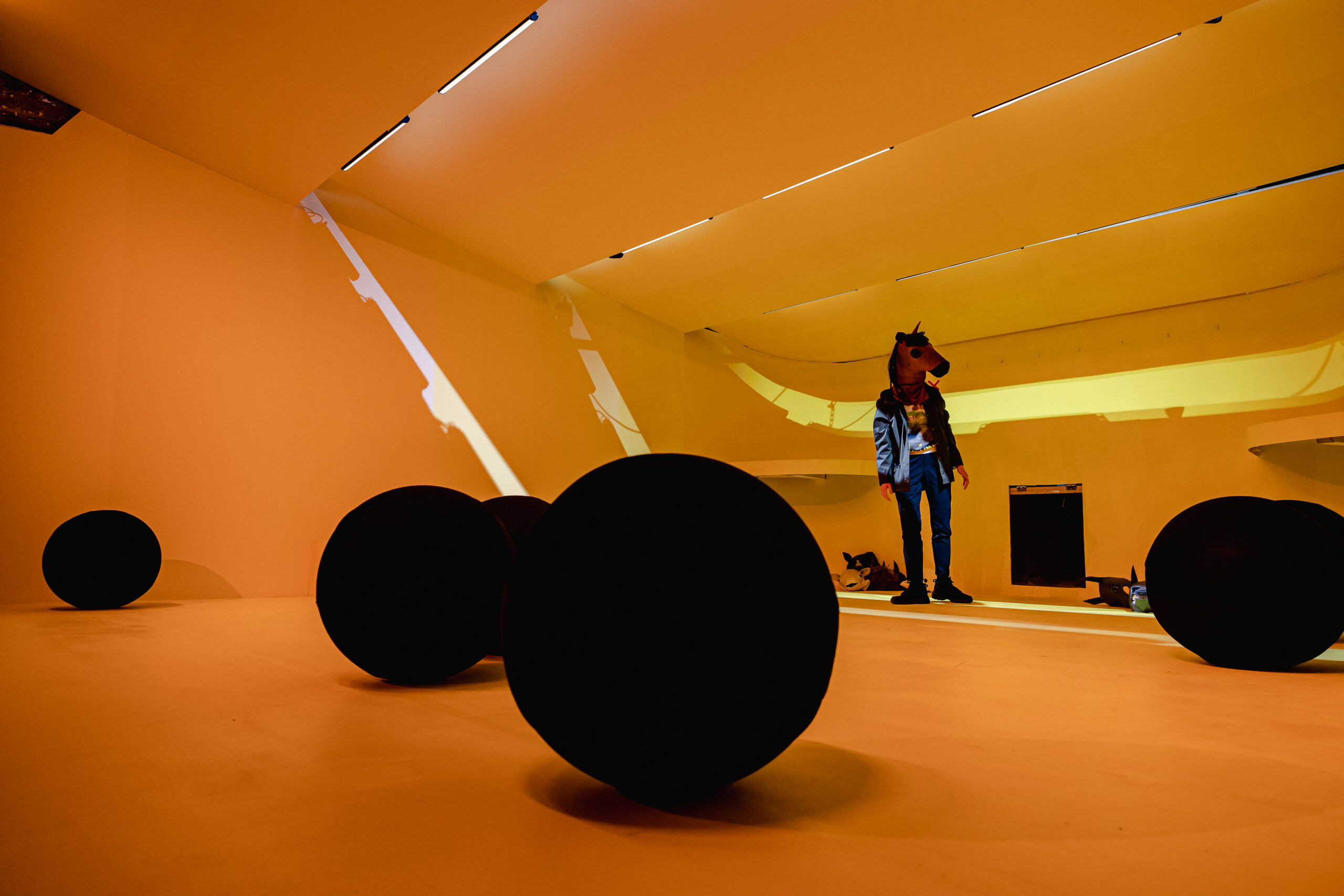 tomasschweigen-film-hybrid